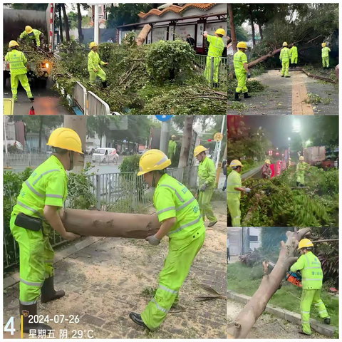 携手并进，共筑绿色防线 ——运营管理部全力投入“格美”台风的专项清扫与恢复行动