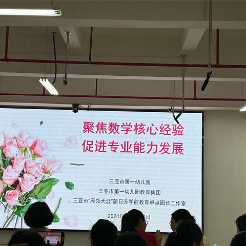 《数学核心经验促进教师专业能力提升模式》——上海市长宁区教育学院 许雅萍