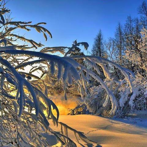 下雪即景