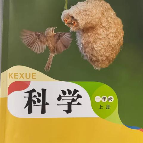 科学实验  种个梦想