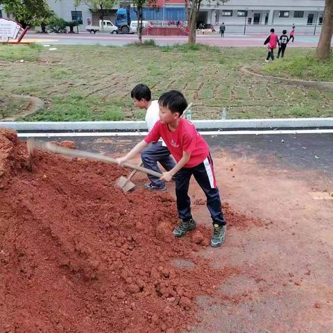 劳动教育励心智    快乐实践润童心