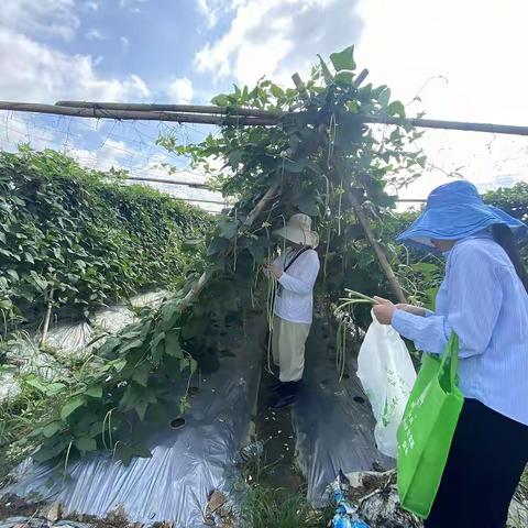 琼海市农产品质量安全检验检测中心关于中秋节、国庆节期间农产品质量安全监管工作简报