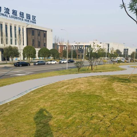 打造“家门口的风景”，美化道路环境，让市民生活更美好