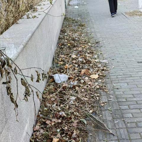 延升服务内容  为街道办实事