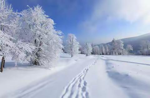 冰雪进校园 共筑中国梦——恒山中学“奔跑吧•少年” 2023年百万青少年上冰雪启动仪式开幕