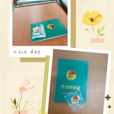 哈密市第八中学举行2024年夏季入团仪式