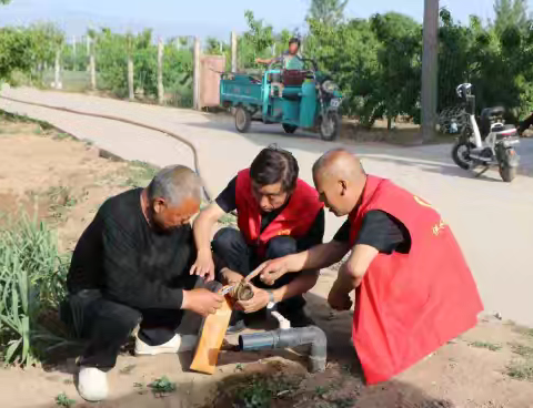 党员带头抗旱魔，齐心保苗促丰收