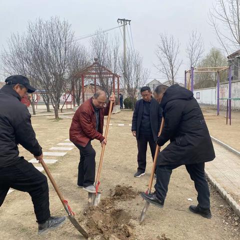 绿色春天 植树校园——敬安镇新安集小学植树节活动