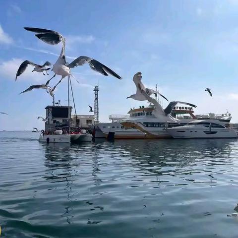 2025枫丹美术暑期 威海研学写生之旅