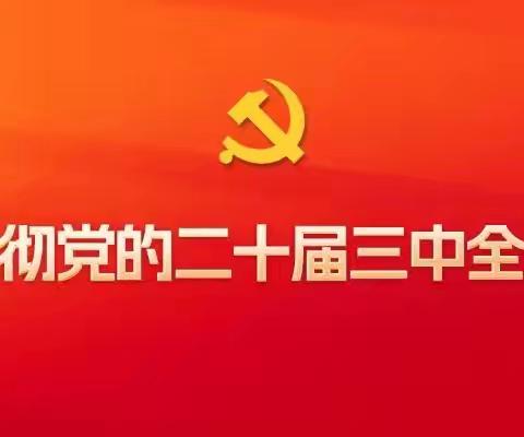 全区人大系统深入学习贯彻党的二十届三中全会精神