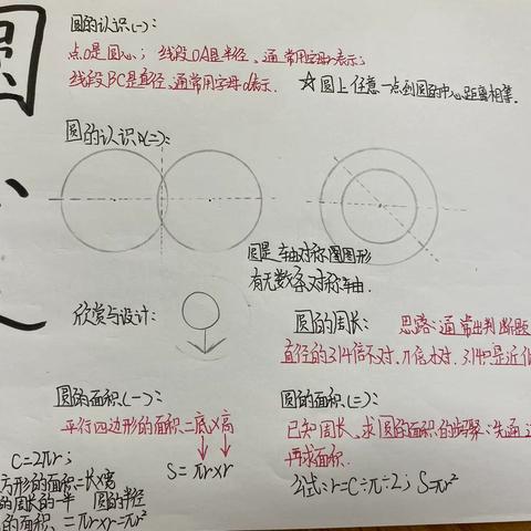 【经开十一小·新优质成长校】绽放思维之花──六年级(3)班数学思维导图(第十期)