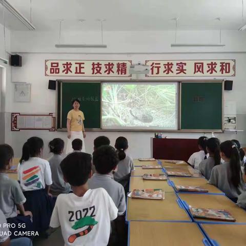 相聚云端互学习 “双师”课堂展风采——汤阴县夏都小学双师课堂活动纪实