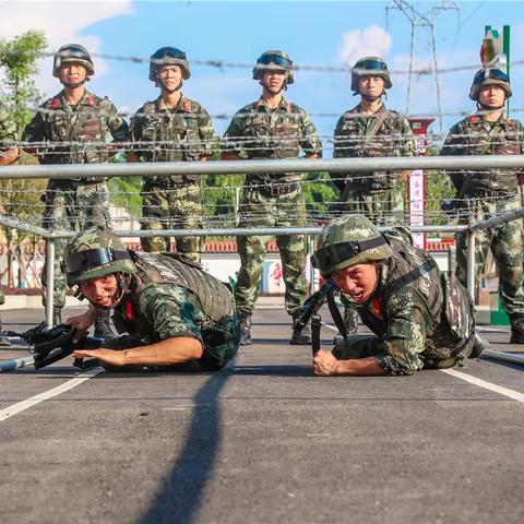 “从军记”军事夏令营