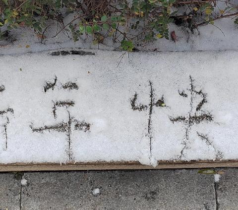 【谭家街道水晶卡芭拉社区】党建引领暖民心，和谐社区共赴新程——马跃新程，喜迎元旦