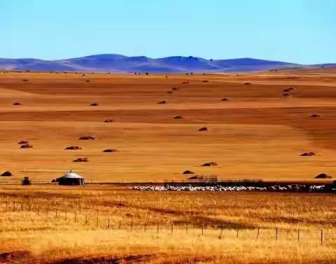 中国最北边疆漠河+内蒙古最美草原行