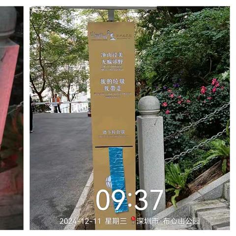 【随机检整改】布心山公园2024年12月10日随机检整改汇报