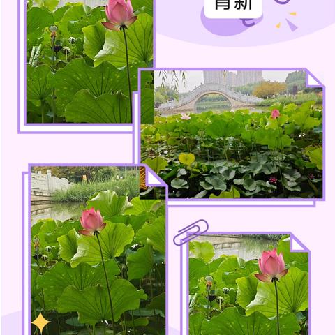 1的简篇