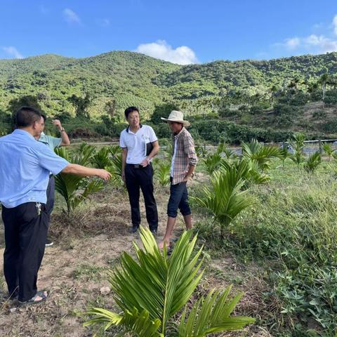 天涯区农业农村局现场与种植户协商耕地＂非粮化＂图斑清退事宜