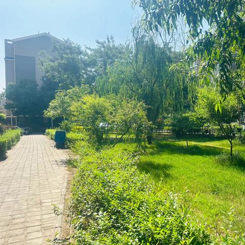 宁夏与荣物业 ‍望远人家B区 ﻿‍2025年6月份工作简报