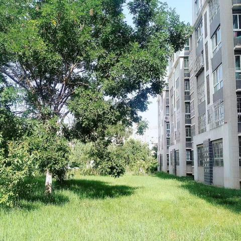 与荣物业 ‍望远人家B区 ﻿‍2025年7月份工作简报