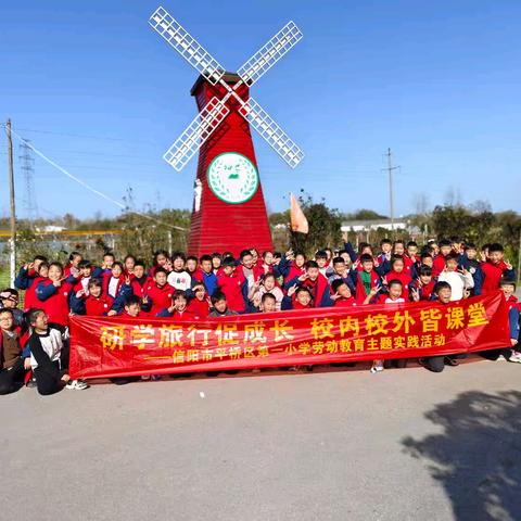秋日“拾”光， ﻿“趣”享自然