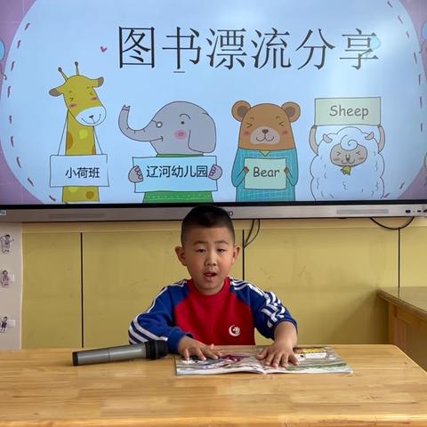 豆豆的文章