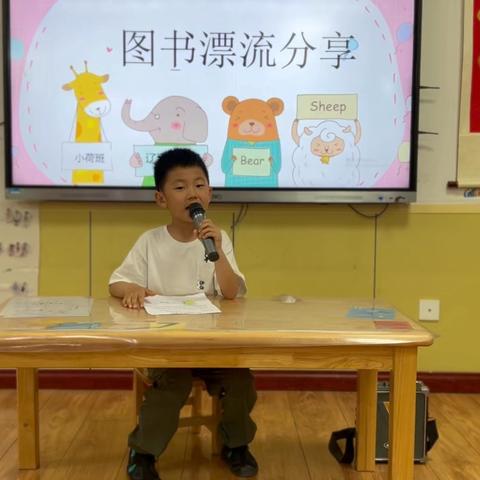 豆豆的文章