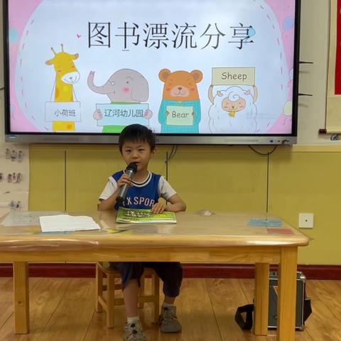 豆豆的文章