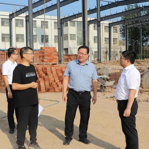 市委副书记王琪华到龙都街道调度项目建设工作