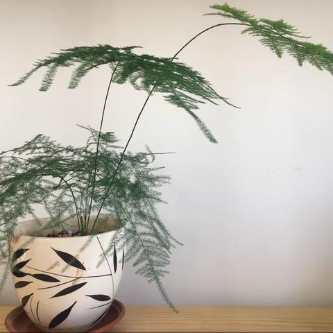 “书香梦家庭读书会”双辽市第五小学二年二班李艾一