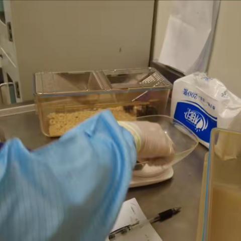 实验动物中心的那些事（四）-你的实验我做主