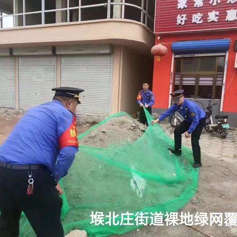 大力推进裸地清零行动