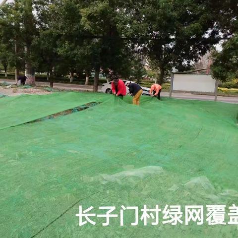 大力推进裸地清零行动