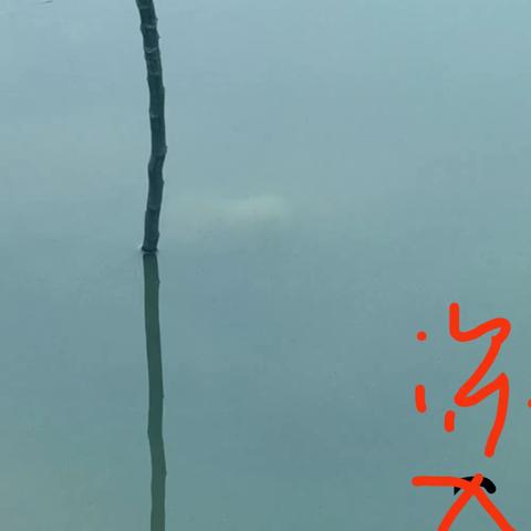 人生最美好回忆  就是故事里的自己