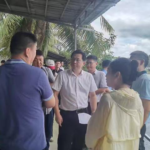 张贤良副县长带队到英州镇调研赤岭渔港（二期）项目