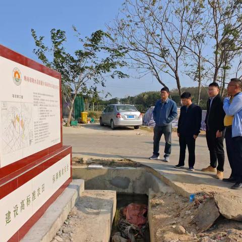 陵水县农业农村局开展2024年高标准农田完工验收核验准备工作