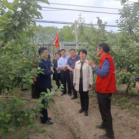 5月9日下午，市委老干部局副局长李雪英一行到马集镇调研老干部助力乡村振兴情况