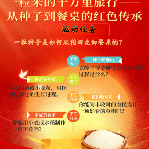 一粒米的十万里程，从种子到餐桌——四年级国庆节红色实践周项目式学习纪实 ‍ ‍