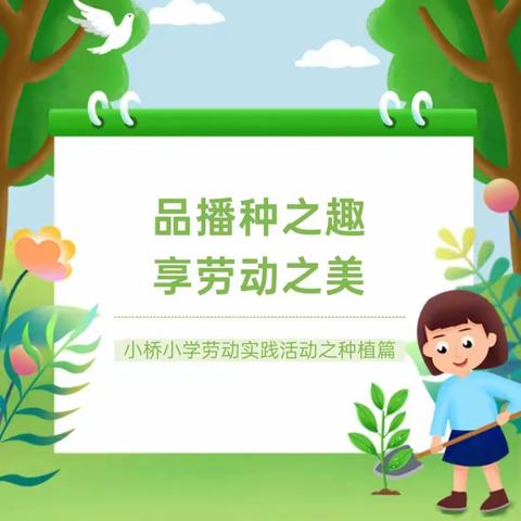 品播种之趣，享劳动之美 ––抚远市前锋学校中学部校种植园活动美篇