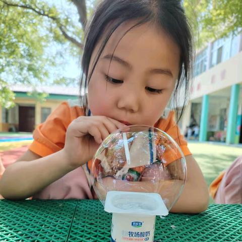 泾阳白王蓓蕾幼儿园报名公告