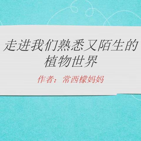 生如夏花 欣然绽放——四（3）班家长大课堂活动