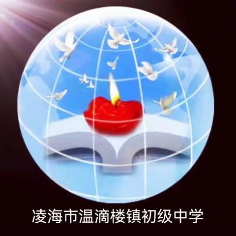 追寻红色血脉、传承民族精神——温中清明主题活动纪实