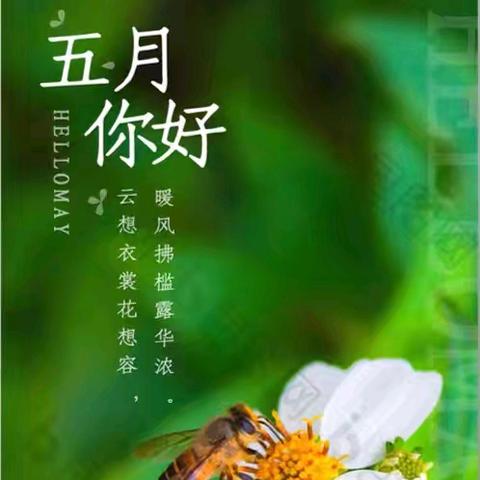 智慧新城物业服务中心4月工作简篇