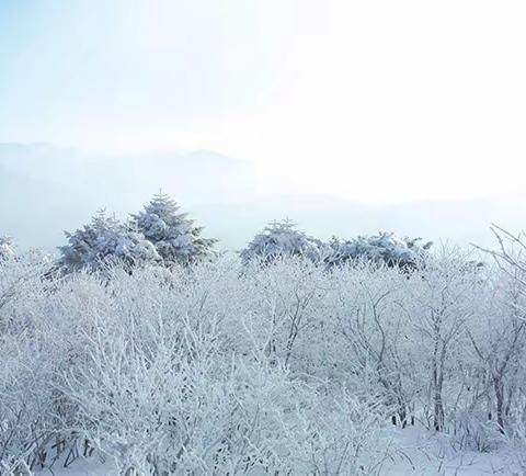 扫雪除冰在行动、齐心协力保畅通——石家庄市桥西区第三幼儿园铲冰扫雪保障道路畅通