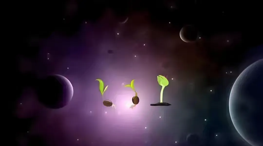 简篇-豫见宇宙·探索星辰|航天研学