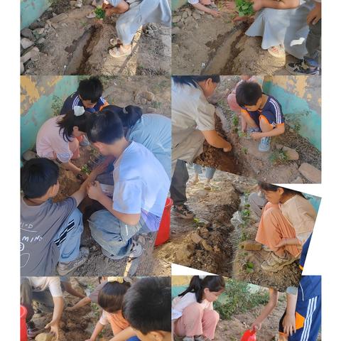 元寺小学日常活动