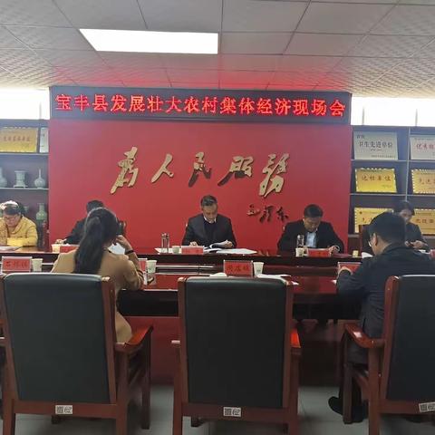 宝丰县召开发展壮大农村集体经济现场会