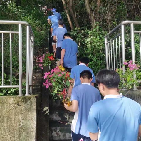 【丽湖学校】“植树育苗、绿化校园”丽湖学校党支部组织九年级毕业生开展植树绿化活动