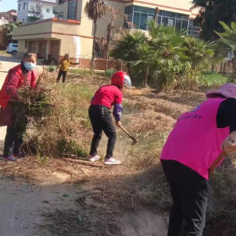 上溪村文明实践站开展环境卫生清理活动