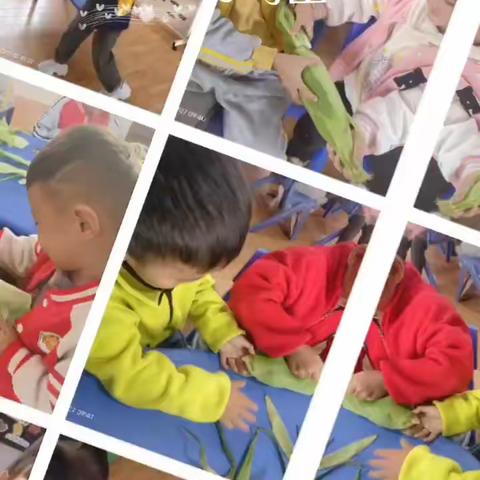 幼儿园的快乐生活——贝尔乐幼儿园中一班一周回顾